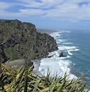Mercer Bay - Piha