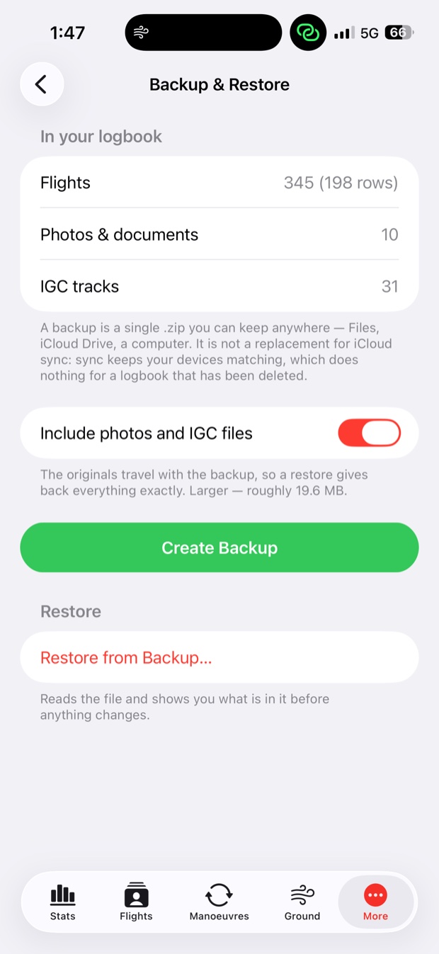 Backup and restore screen